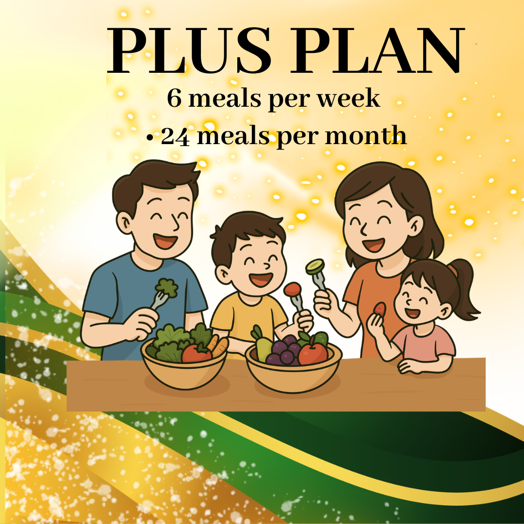🔵 PLUS PLAN ( 6 meals per week • 24 meals per month )