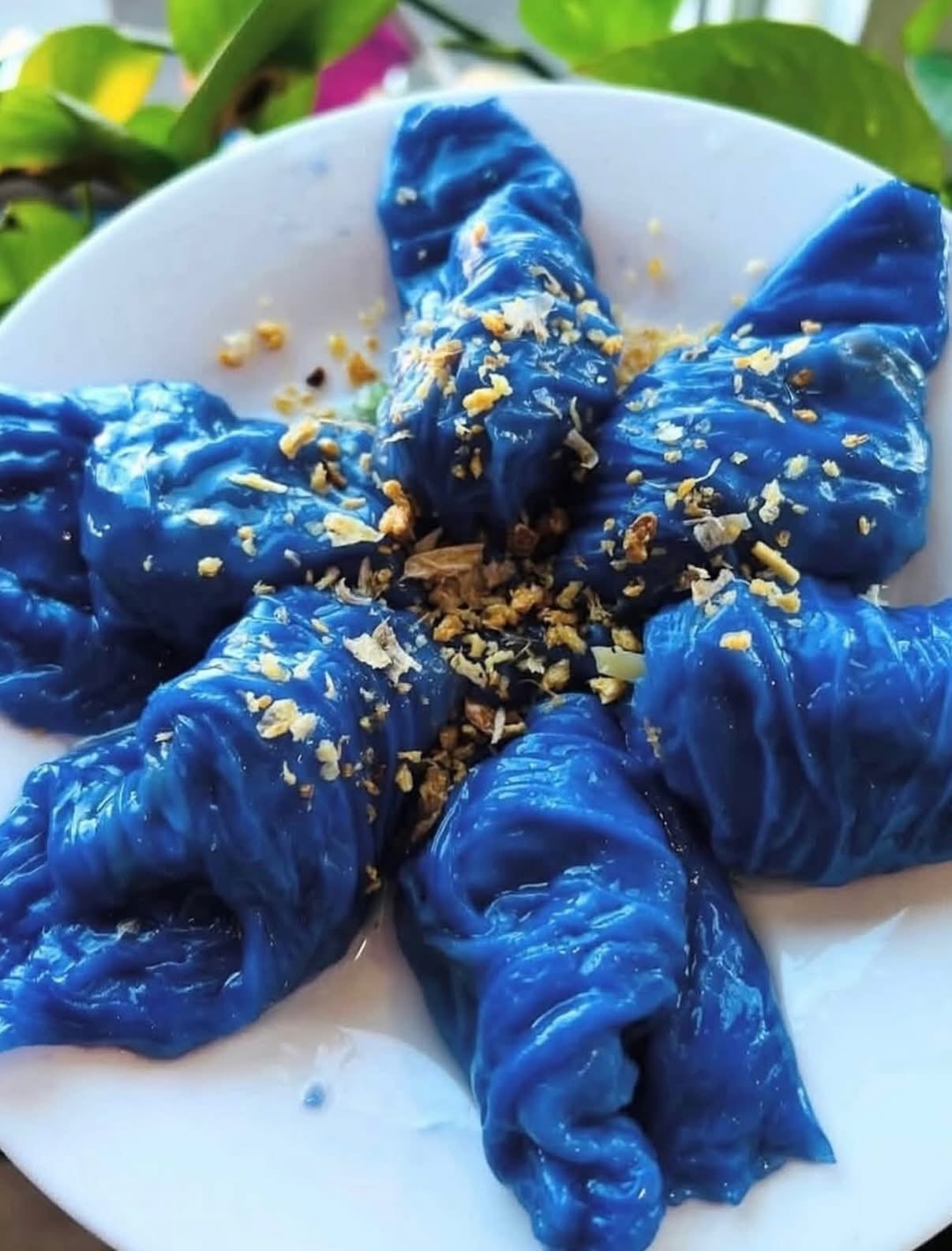 Appetizers (Ready to Eat)